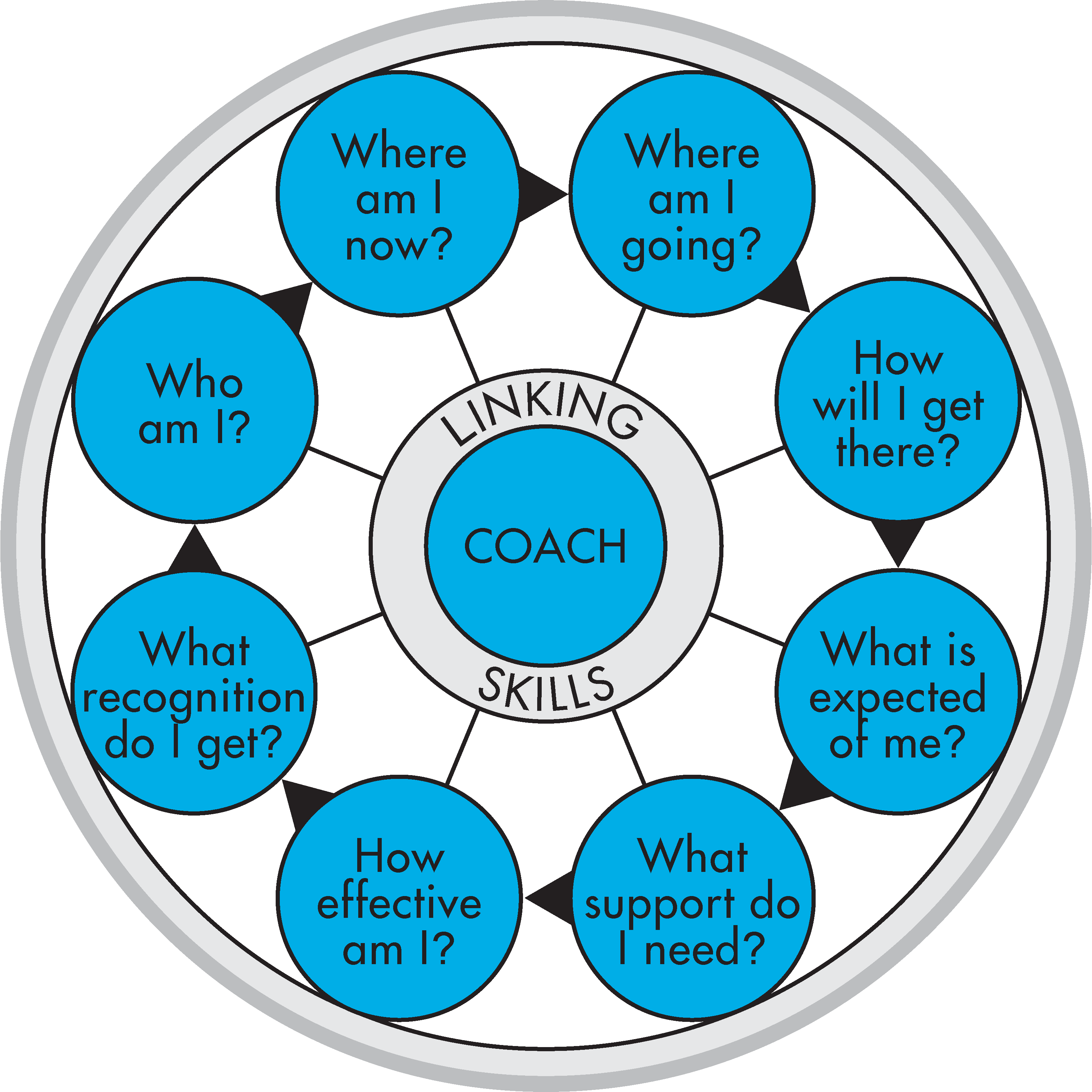 Eight-sector TMS Coaching Framework visual